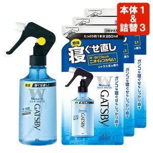 Mcr[(GATSBY) QEH[^[ {285ml×1{l֗p250ml×3 Zbg wAX^CO }_(mandom)y(kC)z