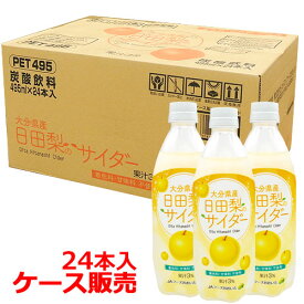 日田梨のサイダー 495ml×24本(ケース販売) JAフーズおおいた【佐川急便発送】【送料込】