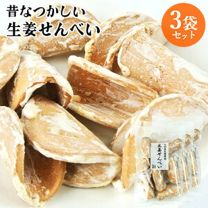 九州産ショウガ使用 生姜せんべい 9枚×3袋セット 懐かしい味 固焼き 焼き菓子 爽やか お茶請け おやつ 素朴 お土産 大分物産【送料込(北海道除く)】