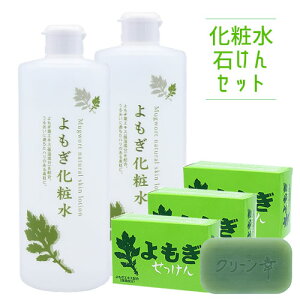 n̉ ϐ 500ml×2{(ϐ΂)98g×3 Zbg̔  ێ CHINOSHIOy(kC)z