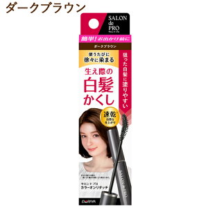 �T�����h�v�� �J���[�I�����^�b�` ����������EX 15ml �_�[�N�u���E�� �w�A�}�X�J�� SALON de PRO �_����(DARIYA)