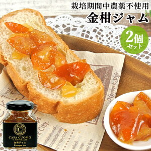 C^AVFt̗z`ɂ W 90g×2Zbg ۑEFElHsgp 啪csYLJ 啪Yڂ CASA CUOMO SALVATORE CUOMO INTERNATIONALy(kC)z