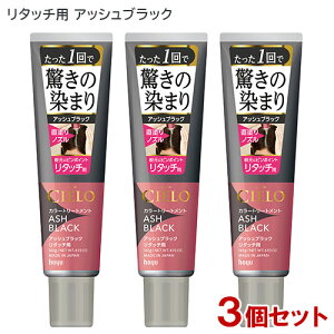 シエロ(CIELO) カラートリートメント リタッチ用 アッシュブラック 140g×3個セット ホーユー(hoyu) 【送料込(北海道除く)】白髪用 白髪染め