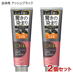 VG(CIELO) J[g[gg S̗p AbVubN 230g×2Zbg z[[(hoyu) y(kC)z p 