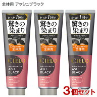 シエロ(CIELO) カラートリートメント 全体用 アッシュブラック 230g×3個セット ホーユー(hoyu) 【送料込…