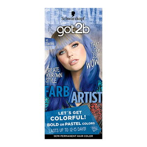 got2b (SbgD[r[) J[N[ GNgbNu[ h蔯  wAJ[ ZtJ[ Schwarzkopf VcRt wP(Henkel)