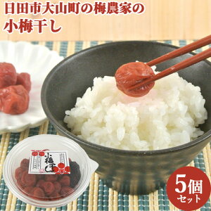 Ɣ_̏~ƂƉ ~ 130g×5 cs R 啪 ߂ڂ  ɂ ٓ   Ђ Ȃ~y(kC)z