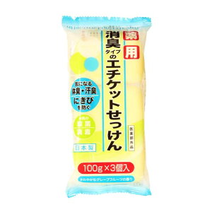 p L^CṽG`Pbg΂ 100g(3)  Ό 򕔊Oi }bNXΌ(MAX)