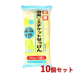 p L^CṽG`Pbg΂ 100g(3)×10Zbg 򕔊Oi  Ό}bNX Ό(MAX)y(kC)z