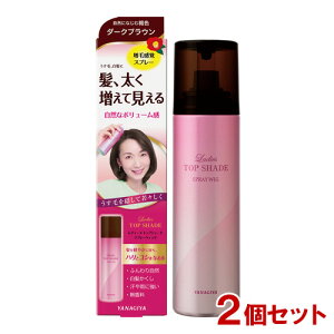 柳屋 レディーストップシェード スプレーウィッグ 自然になじむ褐色 女性用薄毛対策 (微粉末増毛スプレー) 100g×2個セット LADIESTOPSHADE YANAGIYA【送料込(北海道除く)】【今だけ限定セール】
