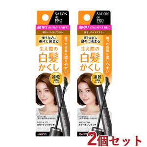 �T�����h�v�� �J���[�I�����^�b�` ����������EX ���邢���C�g�u���E�� 2�Z�b�g SALON de PRO �_����(DARIYA)�y������(�k�C������)�z