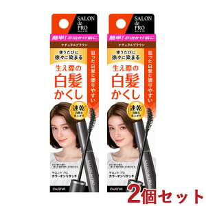�T�����h�v�� �J���[�I�����^�b�` ����������EX �i�`�������u���E�� 15ml×2�Z�b�g SALON de PRO �_����(DARIYA)�y������(�k�C������)�z