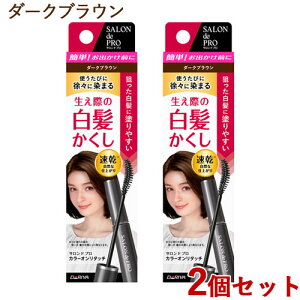�T�����h�v�� �J���[�I�����^�b�` ����������EX 15ml×2�Z�b�g �_�[�N�u���E�� �w�A�}�X�J�� SALON de PRO �_����(DARIYA)�y������(�k�C������)�z