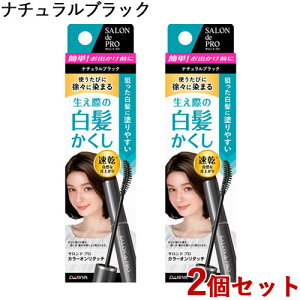 �T�����h�v�� �J���[�I�����^�b�` ����������EX �i�`�������u���b�N 15ml×2�Z�b�g SALON de PRO �_����(DARIYA)�y������(�k�C������)�z