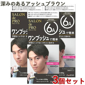  Thv vbV YJ[ 6A [݂̂AbVuE p 3Zbg 򕔊Oi mens SALON de PRO _(DARIYA)y(kC)z