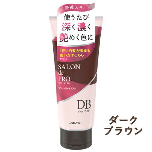 �T�����h�v�� �J���[�g���[�g�����g �_�[�N�u���E�� 180g SALON de PRO �_����(DARIYA)