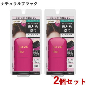 �T�����h�v�� ���^�b�`���C�h�}�[�J�[ �i�`�������u���b�N 20ml×2�Z�b�g SALON de PRO �_����(DARIYA)�y������(�k�C������)�z