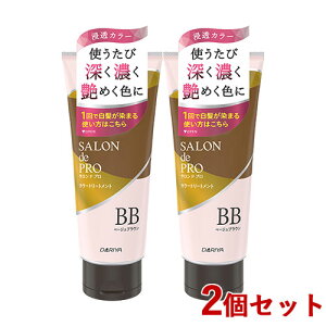 �T�����h�v�� �J���[�g���[�g�����g �x�[�W���u���E�� 180g×2�Z�b�g �w�A�P�A ���� SALON de PRO �_����(DARIYA)�y������(�k�C������)�z