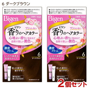 �y2�Z�b�g�z �r�Q��(Bigen) ����̃w�A�J���[ �N���[�� 6 �_�[�N�u���E�� �z�[���[(hoyu) �������� �y������(�k�C������)�z