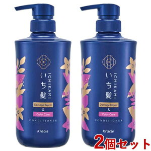  _[WyA&J[PA RfBVi[ |v { 480g×2Zbg Ichikami NVG(Kracie)y(kC)z