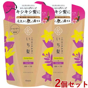  _[WyAJ[PA Vv[ l֗p 330ml×2Zbg ߂ lߑւ Ichikami NVG(Kracie)y(kC)z