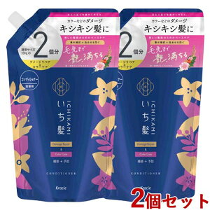  _[WyAJ[PA RfBVi[ l֗p 660g×2Zbg e 2 ߂ lߑւ Ichikami NVG(Kracie)y(kC)z