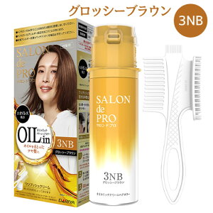 �������� �I�C�����b�`�N���[���w�A�J���[ 3NB �O���b�V�[�u���E�� �����v�b�V�� �T�����h�v��(SALON de PRO) �_����(DARIYA)