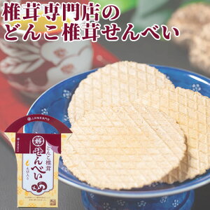 啪Yǂ񂱒őgp ǂ񂱒őׂ ѓ 7 mtC@  VC^P CV Gr   cőX