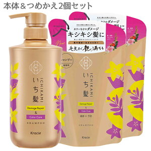  _[WyA&J[PA Vv[ {480mll֗p 330ml×2 ICHIKAMI NVG(Kracie)yz