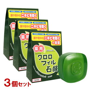  p NtBΌ gΌ 85g×3Zbg jLr ь  p΂ kokuryudyz
