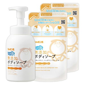 V{ʐ΂ Y {fB\[v ՂA { 570ml{l֗p 470ml×2 Ό  {fBVv[ q⊣̕ɂ߁y(kC)z