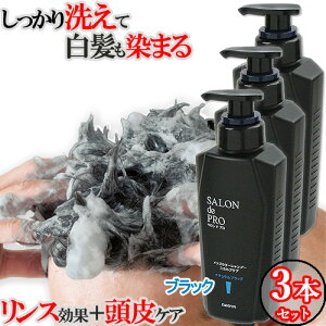 ߃Vv[ 3Zbg PA ΍ mVRVv[ X 4̓ Y J[Vv[ XJvPA 250ml i`ubN Thv(SALON de PRO) _