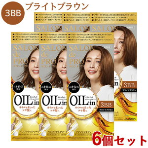 �y�܂Ƃߔ����z�������� �T�����h�v�� �I�C�����b�`�N���[���w�A�J���[ 3BB �u���C�g�u���E�� 6�Z�b�g �����v�b�V��SALON de PRO �_����(DARIYA)�y�������z