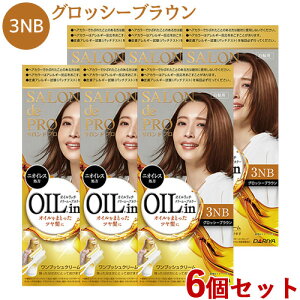 �y�܂Ƃߔ����z�������� �T�����h�v�� �I�C�����b�`�N���[���w�A�J���[ 3NB �O���b�V�[�u���E�� 6�Z�b�g �����v�b�V�� SALON de PRO �_����(DARIYA)�y�������z