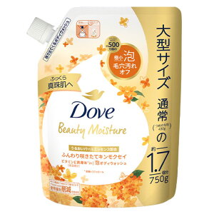 _(Dove) r[eB[CX`[ A{fBEHbV LNZC l֗p e750g A~m_n{fB\[v ؍҂̍ j[o(Unilever)