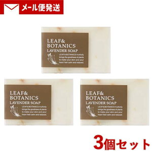 R }U[\[v(΂) [t{^jNX(LEAF&BOTANICS) x_[ 90g×3Zbg matsuyamay[֑z