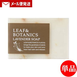 yPi[֑zR }U[\[v(΂) [t{^jNX(LEAF&BOTANICS) x_[ 90g matsuyama
