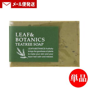 yPi[֑zR }U[\[v(΂) [t{^jNX(LEAF&BOTANICS) eB[c[ 90g matsuyama