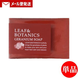 yPi[֑zR }U[\[v(΂) [t{^jNX(LEAF&BOTANICS) [jE 90g matsuyama