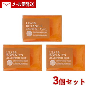 R }U[\[v(΂) [t{^jNX(LEAF&BOTANICS) O[vt[c 90g×3Zbg matsuyamay[֑z