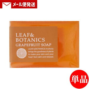 yPi[֑zR }U[\[v(΂) [t{^jNX(LEAF&BOTANICS) O[vt[c 90g matsuyama