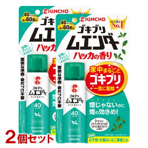 L`E SLuG_[ 50g(40vbV) nbJ̍×2Zbg vbVSLu쏜 E (KINCHO)y(kC)z