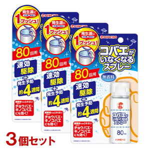 L`E RoGȂȂXv[ 49g(80p)×3Zbg  墎E 쏜E\h (KINCHO)y(kC)z