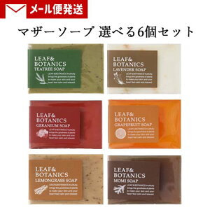 R [t{^jNX(LEAF&BOTANICS) }U[\[v Iׂ6Zbg e90g matsuyama |Xgy[֑z