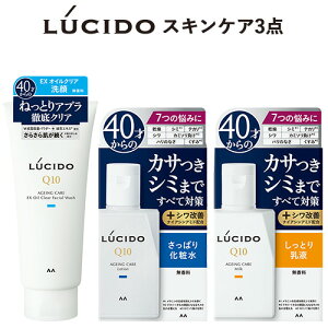 V[h(LUCIDO) EXICNAtH[ & p g[^PAϐ & g[^PAt (130g+110ml+100ml) Y XLPA }_(mandom)y(kC)z