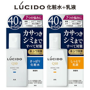 V[h p g[^PAϐ 110mlg[^PAt 100ml XLPA2Zbg  ێ Y LUCIDO }_(mandom)y(kC)z