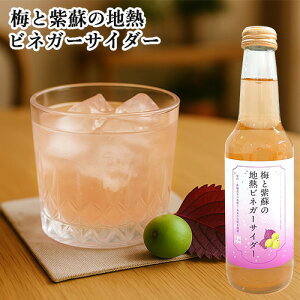 藧ʎ| ~Ǝh̒nMrlK[TC_[ 250ml nprlK[×Y_ W[X AbvTCN E{[[S֖{]