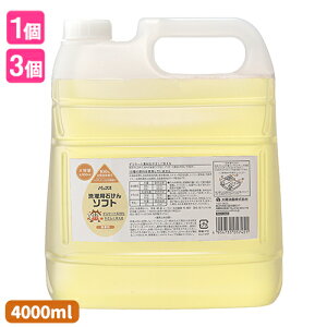 pbNX p΂\tg  l֗p e 4000ml z [Y t  RR100%]