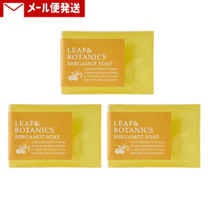 yH~z[t{^jNX(LEAF&BOTANICS) }U[\[v xKbg 90g  Ό E炾p R matsuyamay[֑z