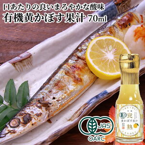 啪PnsY L@ڂʏ` 70ml ~jTCY ۑEHiYsgp J{X Ă hg T_ 畨Ȃǂ L@JASF 